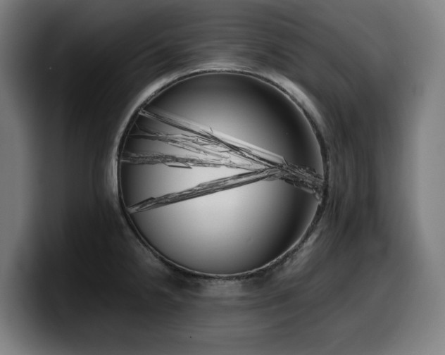 X0000099931238200805301152