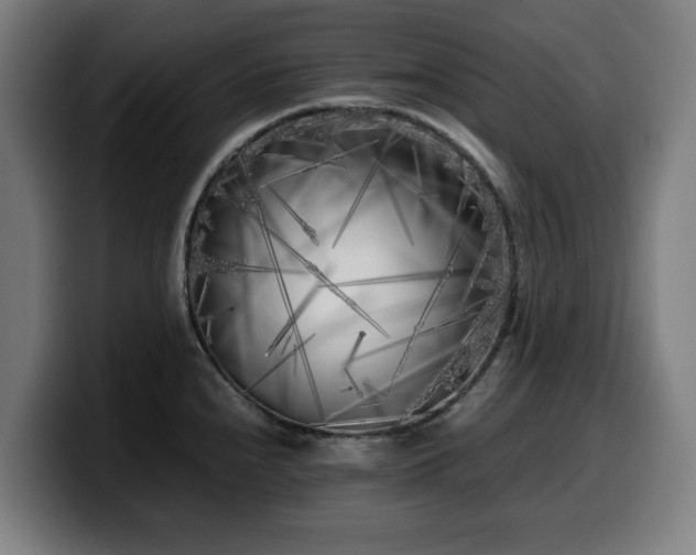 X0000099931240200805301152