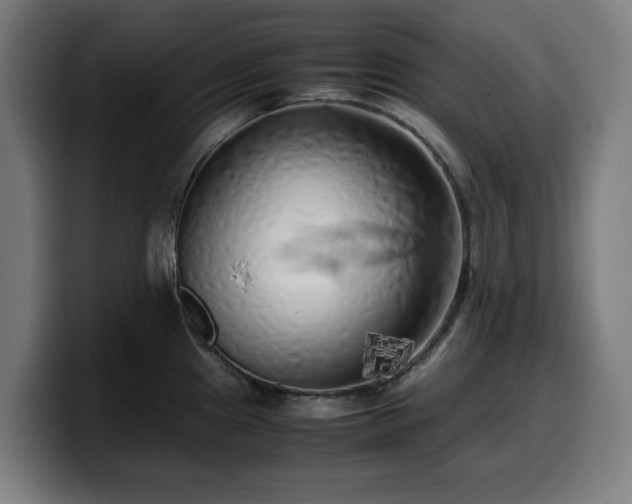 X0000099931241200805301152