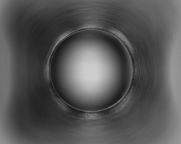 X0000099931242200805301152