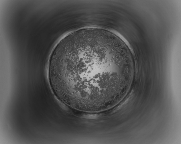 X0000099931245200805301152