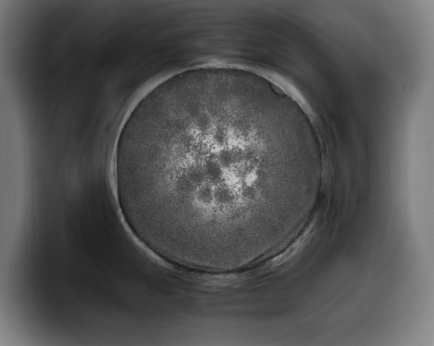 X0000099931247200805301152