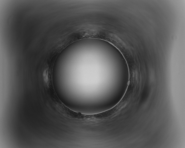 X0000099931250200805301151