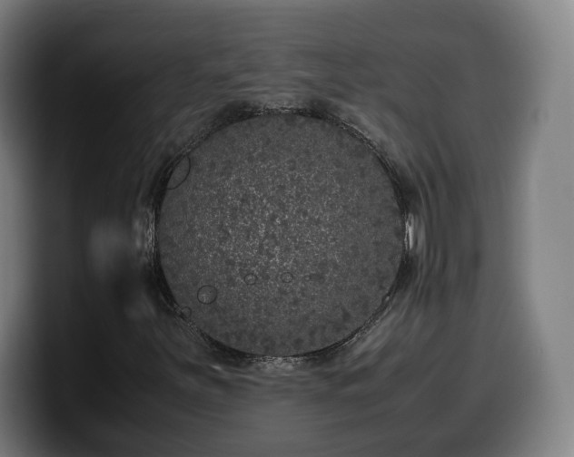 X0000099931251200805301151