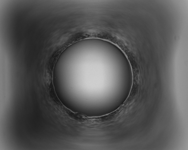 X0000099931253200805301151