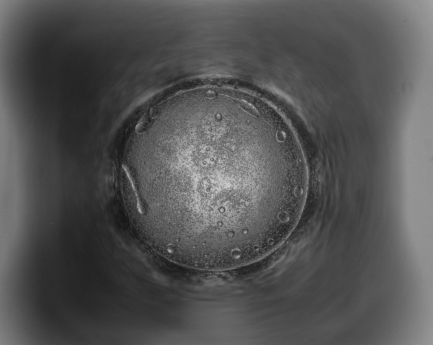 X0000099931255200805301151