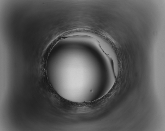 X0000099931256200805301151