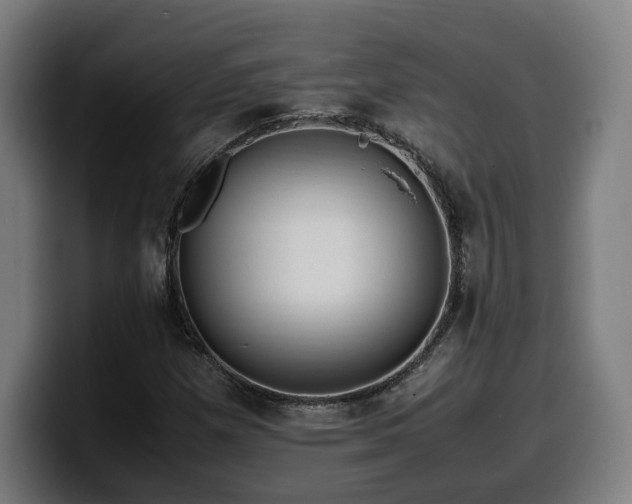 X0000099931257200805301151