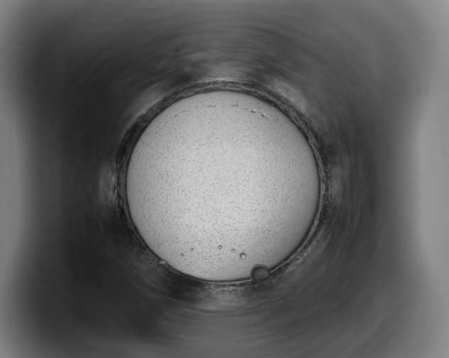 X0000099931258200805301151