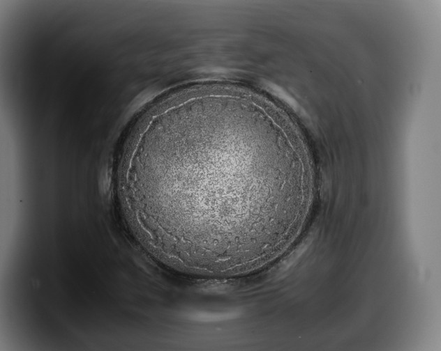 X0000099931259200805301151