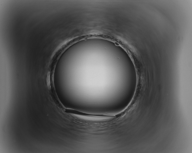 X0000099931262200805301151