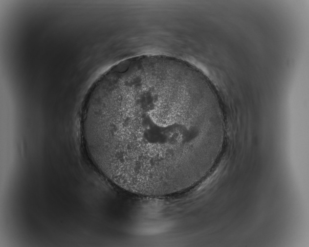 X0000099931263200805301151