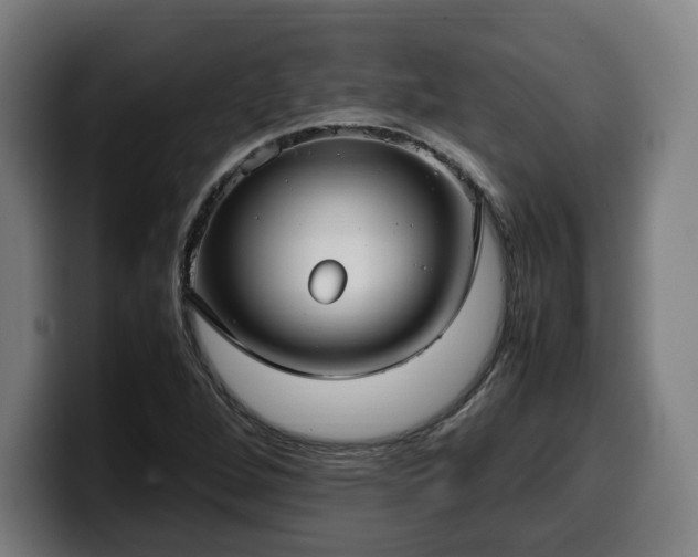 X0000099931264200805301151