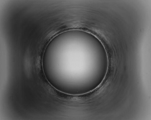 X0000099931265200805301151