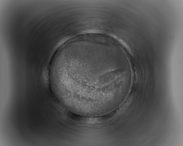 X0000099931266200805301151