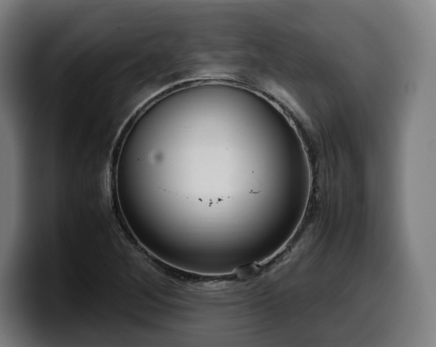 X0000099931268200805301151