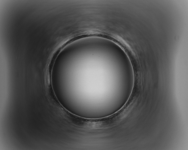 X0000099931269200805301151