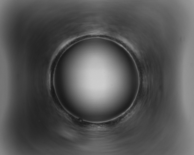 X0000099931270200805301151