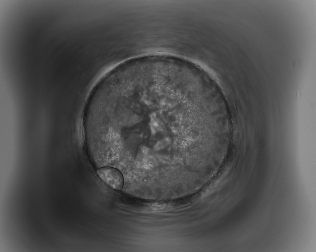 X0000099931271200805301151