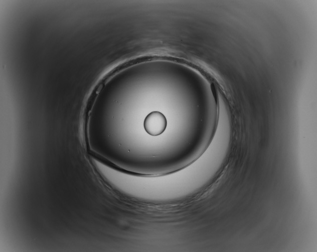 X0000099931272200805301151