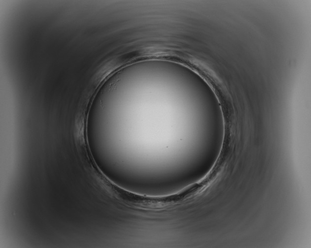 X0000099931273200805301151