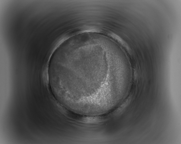 X0000099931274200805301151