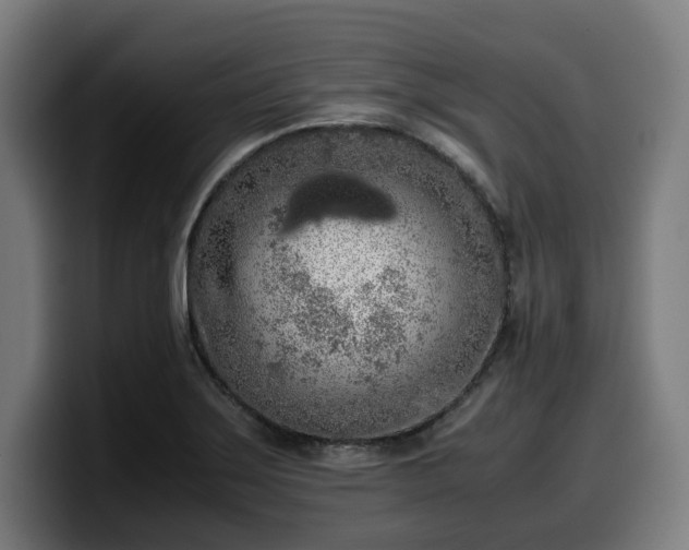 X0000099931275200805301151