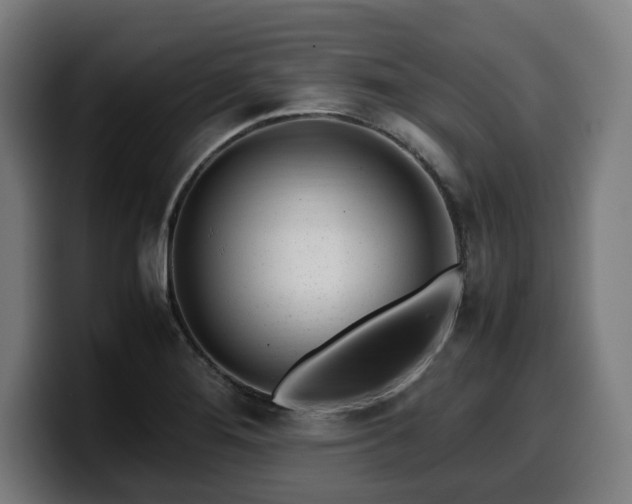 X0000099931276200805301151