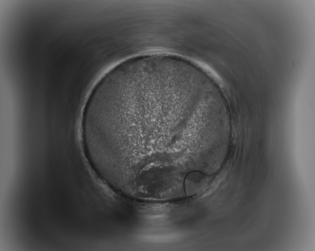 X0000099931279200805301151