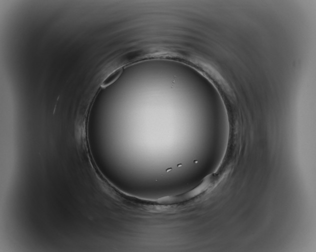 X0000099931281200805301151