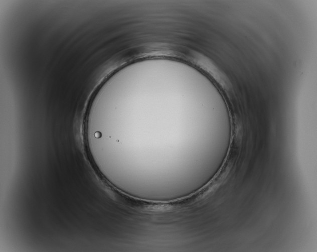 X0000099931282200805301151