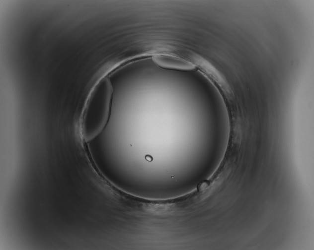 X0000099931284200805301151