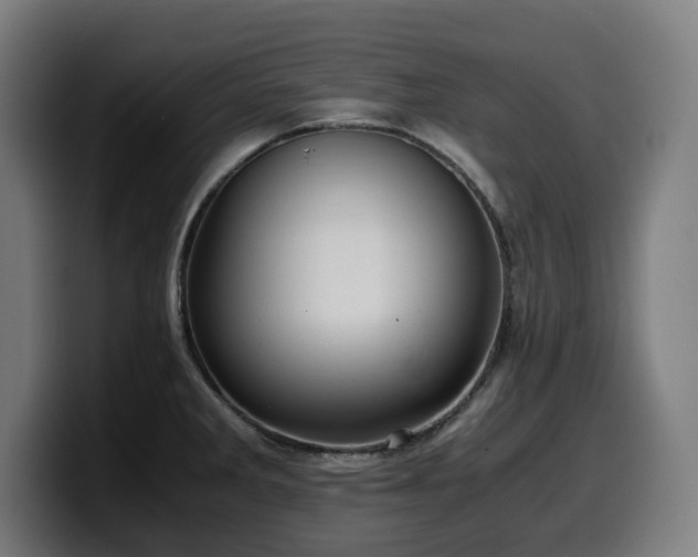 X0000099931285200805301151