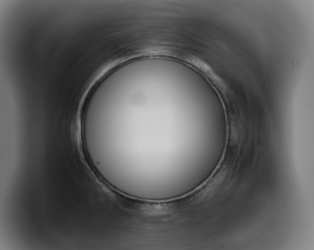 X0000099931286200805301151