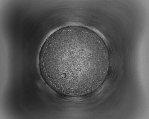 X0000099931287200805301151