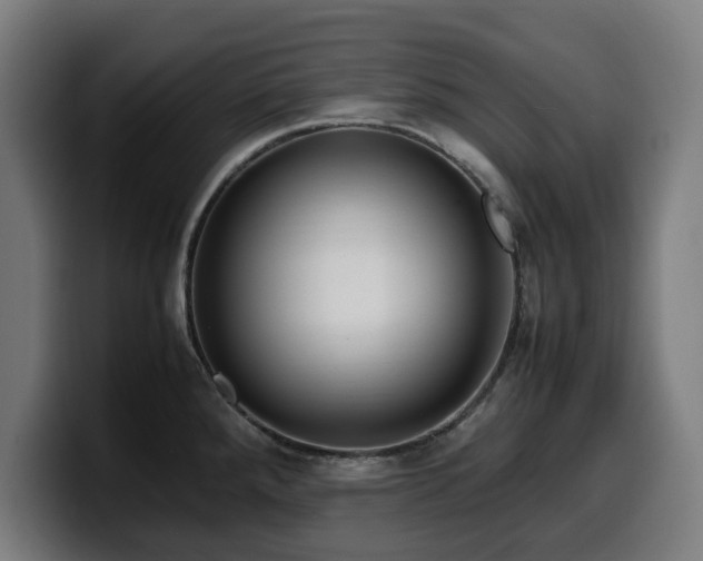 X0000099931288200805301151