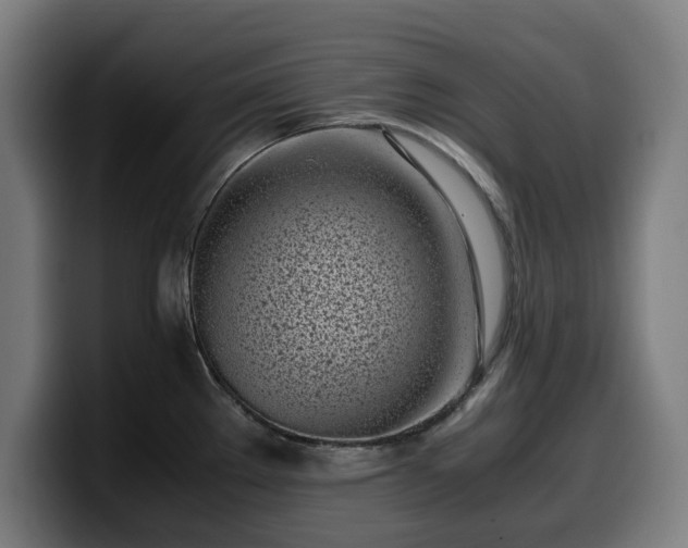 X0000099931289200805301151