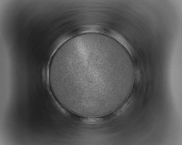 X0000099931290200805301151