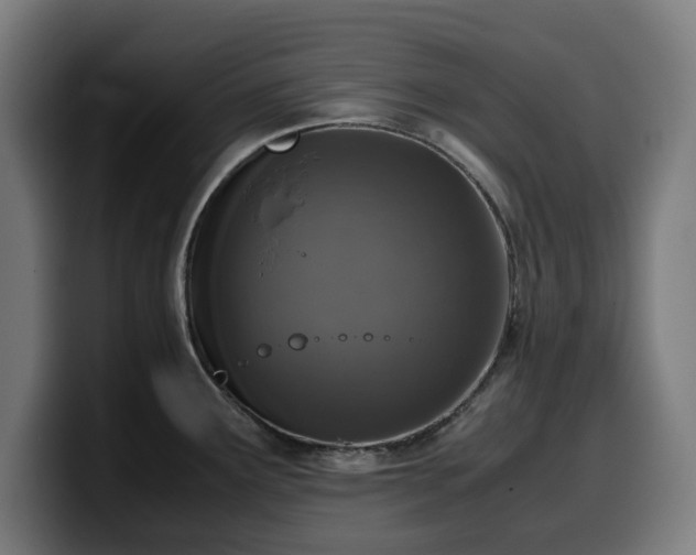 X0000099931291200805301151