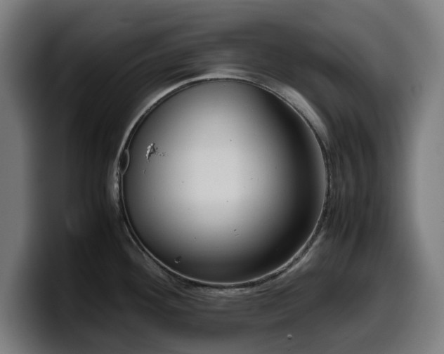 X0000099931292200805301151