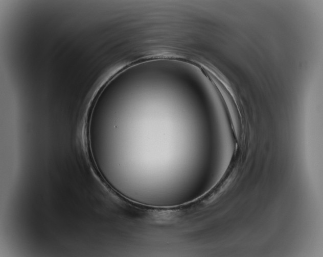 X0000099931293200805301151