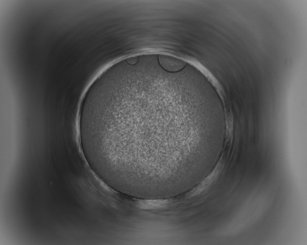 X0000099931294200805301151