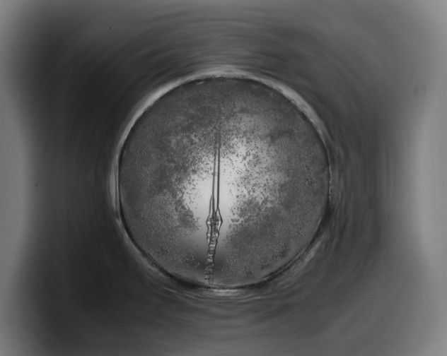 X0000099931295200805301151