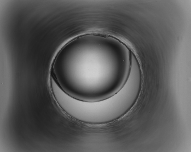 X0000099931296200805301151