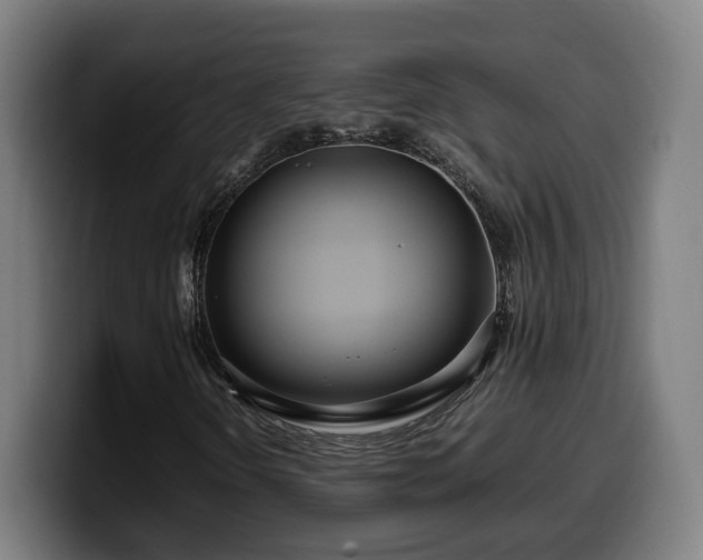 X0000099931298200805301150