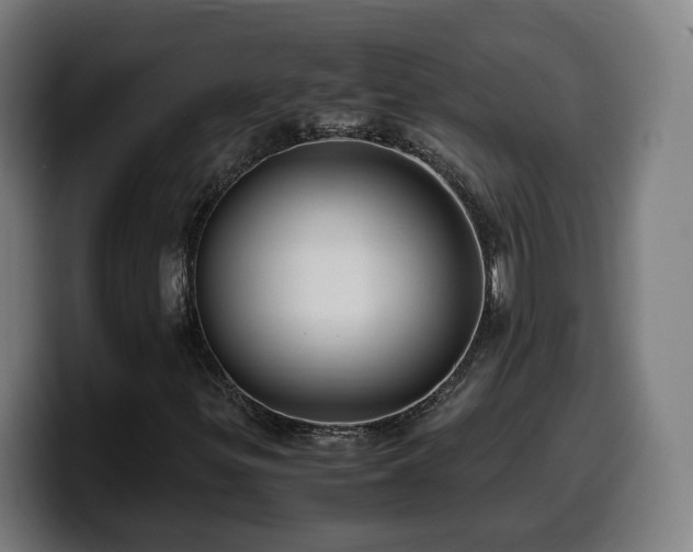 X0000099931299200805301150