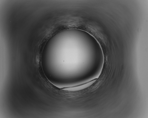 X0000099931300200805301150