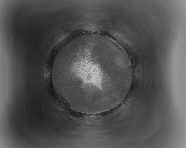 X0000099931302200805301150