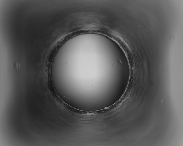 X0000099931304200805301150