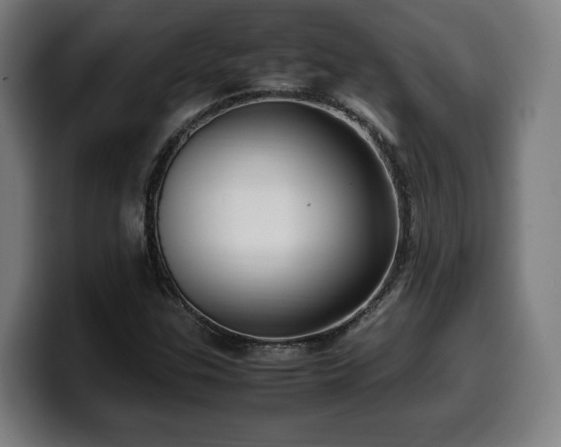 X0000099931307200805301150